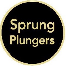 plungers FR250P